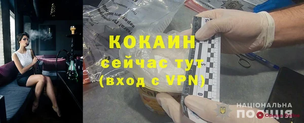 прущие грибы Балахна