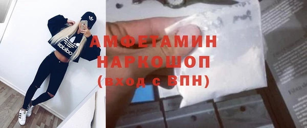 прущие грибы Балахна