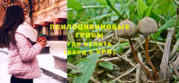 прущие грибы Балахна