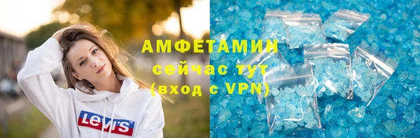 прущие грибы Балахна