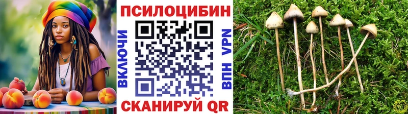 Галлюциногенные грибы ЛСД где можно купить наркотик Тимашёвск